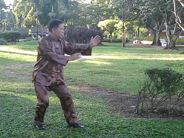 Wu Chuan You Style Taijiquan